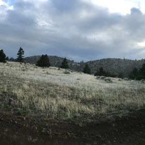 Meet your Posher, Kristin